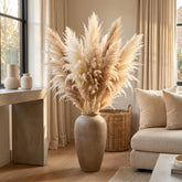 Dried Natural Semi bleached pampas grass