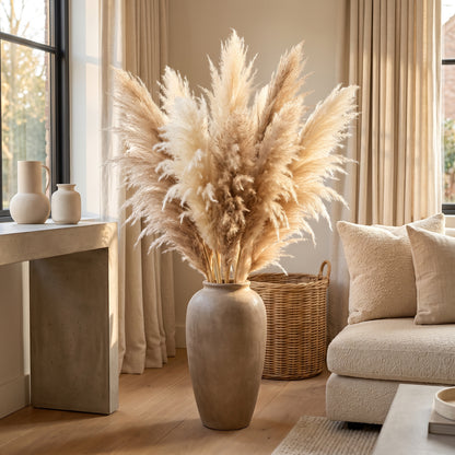 Dried Natural Semi bleached pampas grass