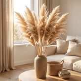 Dried Natural Semi bleached pampas