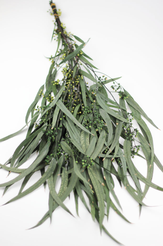 dried eucalyptus bouquet