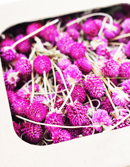 dried gomphrena