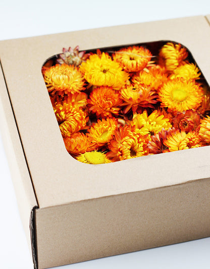 dried gomphrena heads