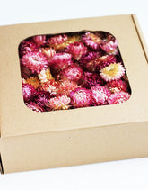Pink Dried Helichrysum Heads