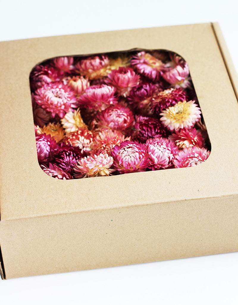 Pink Dried Helichrysum Heads