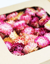 Dried Flower Heads Wholesale UK