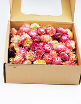 Wholesale Dried Helichrysum Heads