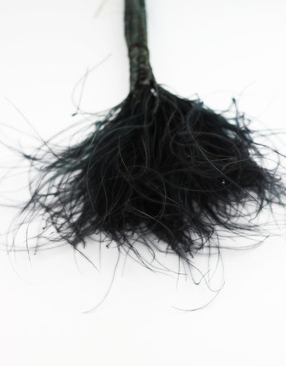 Dried Stypha Penata