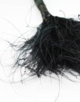 Black Dried Stypha Penata