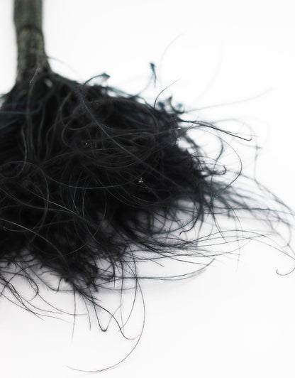 Wholesale Dried Stypha Penata