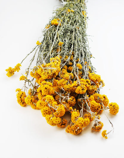dried yellow flowers