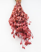 pink dried flowers