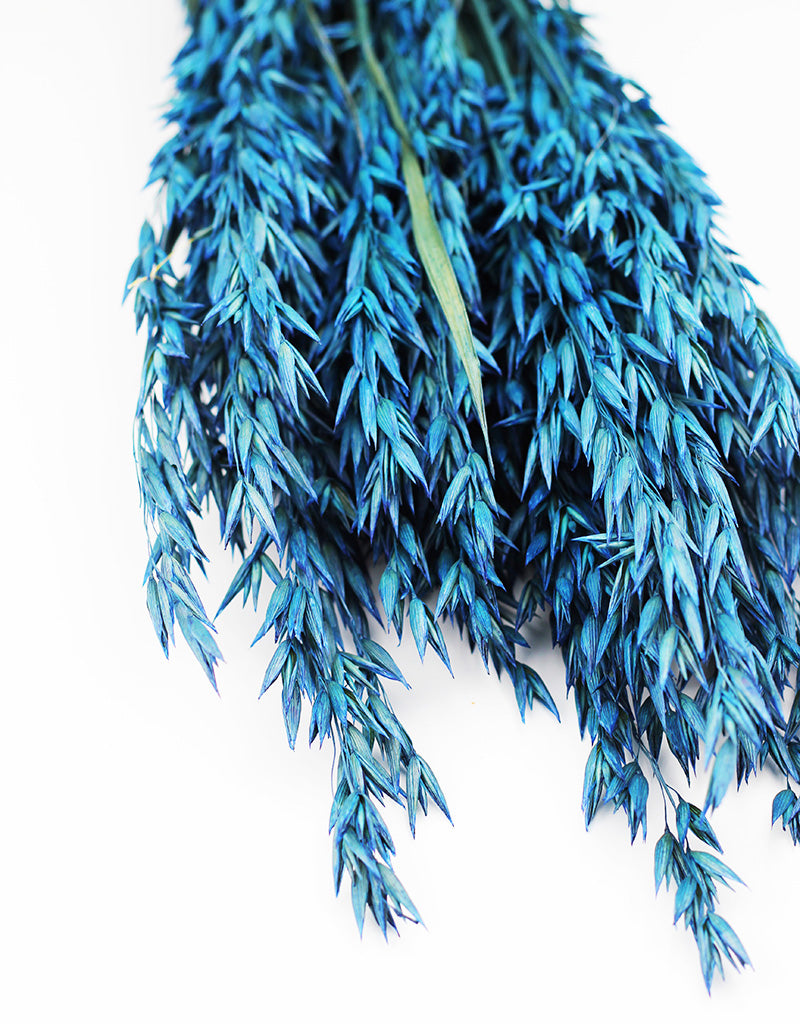 dried flowers blue