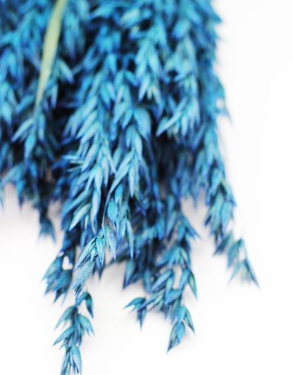 blue dried flowers