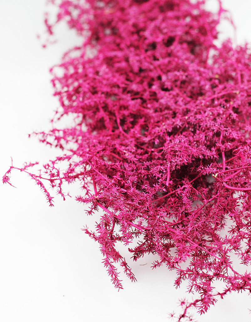 Pink Dried Asparagus