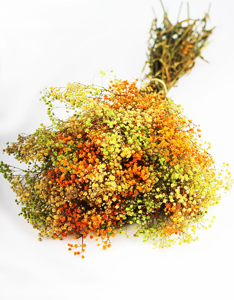 Preserved Multicoloured Gypsophila Bouquet