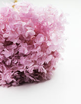 Wholesale dried hydrangeas 