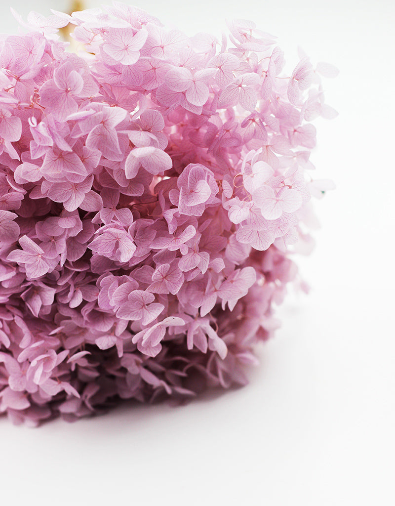 Wholesale dried hydrangeas 