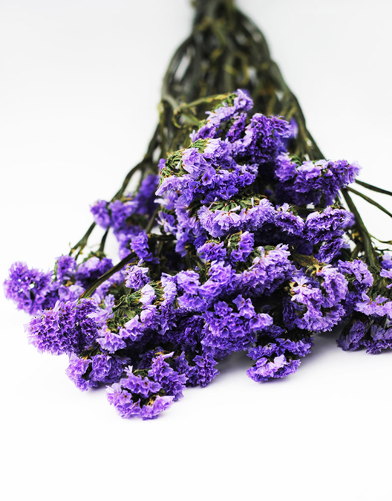 Dried Statis Dried Purple Statice Flowers | How to Plant, Grow, and Care for Statice ...
