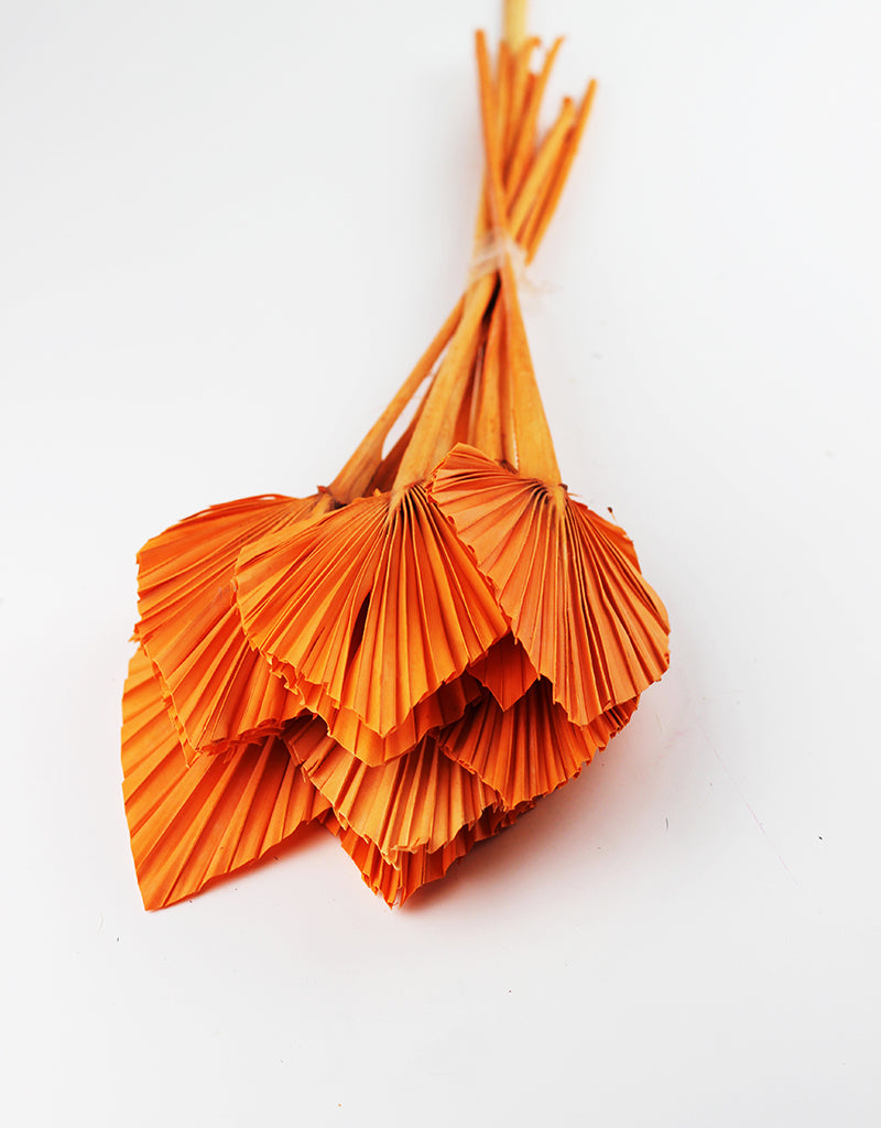ORANGE PALM SPEARS