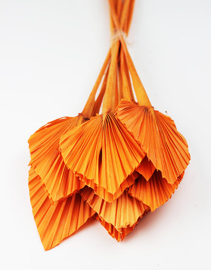 Orange Dried Palm Spears 