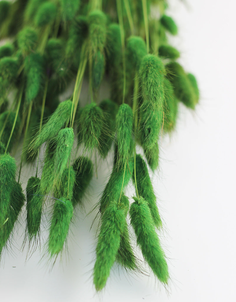 Wholesale Dried Bunny Tails 