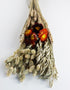 mini dried flower bouquet wholesale