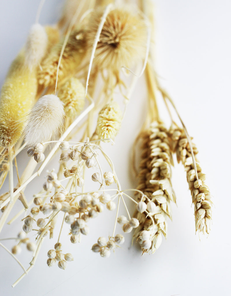 dried flowers bouquet