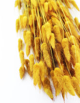 dried bunny tails