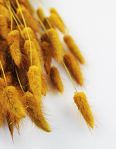 wholesale bunny tails dried