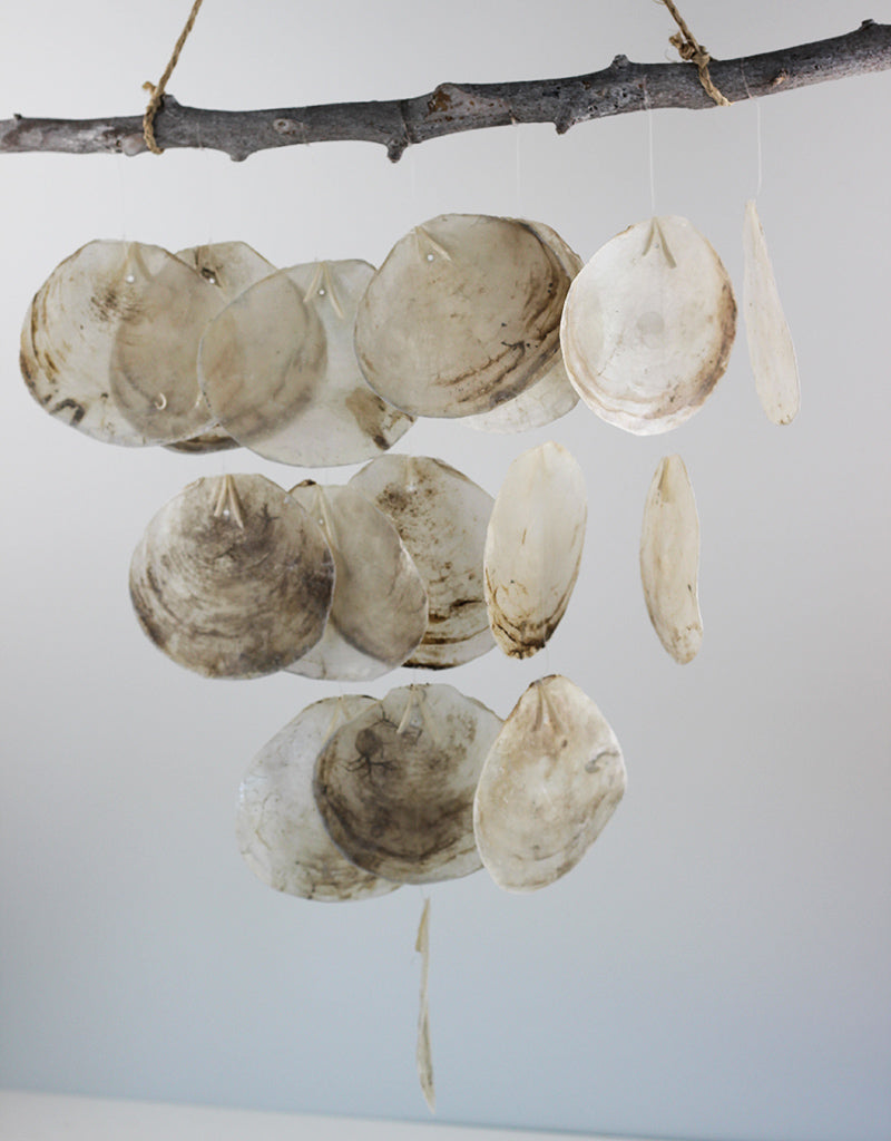 Hanging Flat Shell Décor, Natural, 70 cm Height, 45 cm width – Dried ...