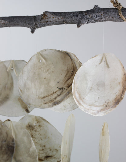 Hanging Sea Shell Cluster for Wall Decoration l Buy Décor in UK