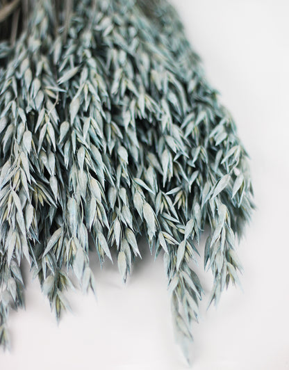 Blue Dried Oat Avena