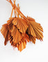 Wholesale Terracotta Dried Palm Spears