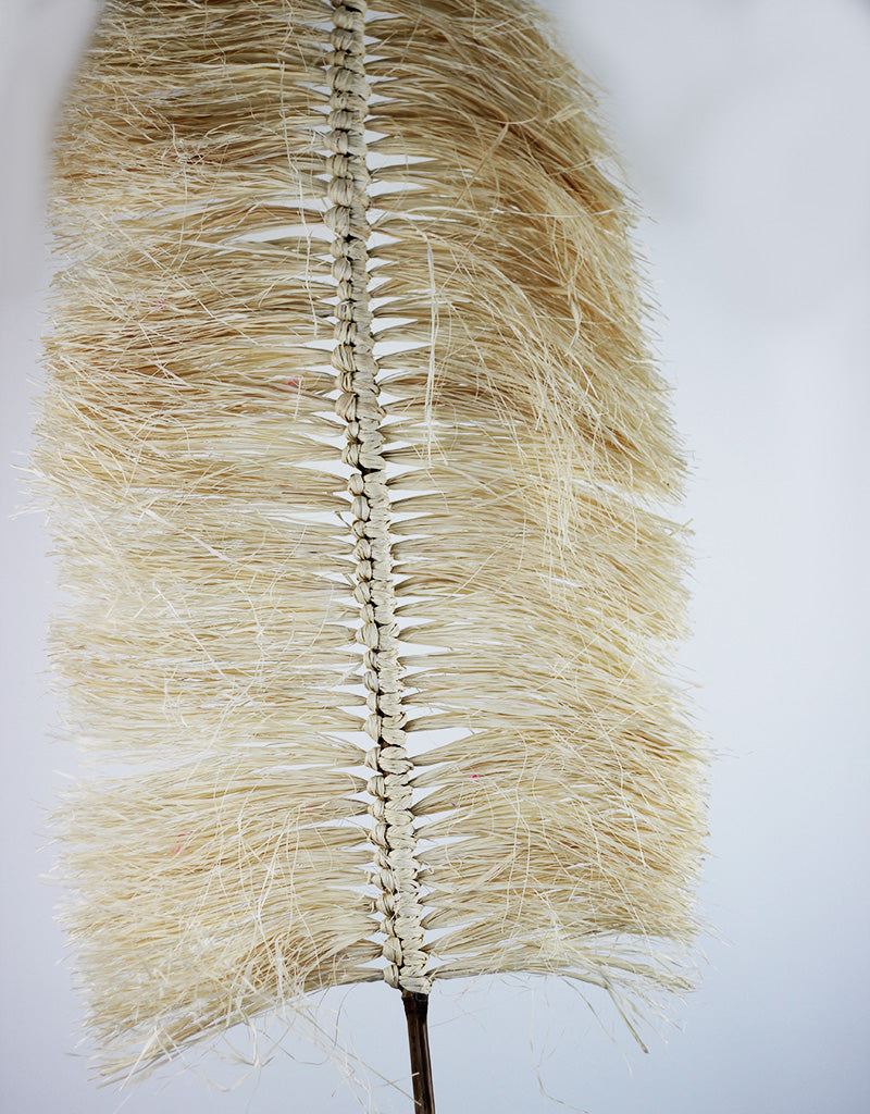 Wholesale Dried Grass Fan Palm