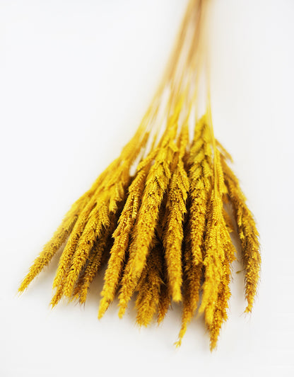 Wholesale Yellow Dried Grass