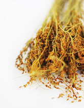 Wholesale Dried Sai Thong