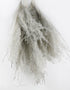 Grey Dried Stipa Feathers Bunch