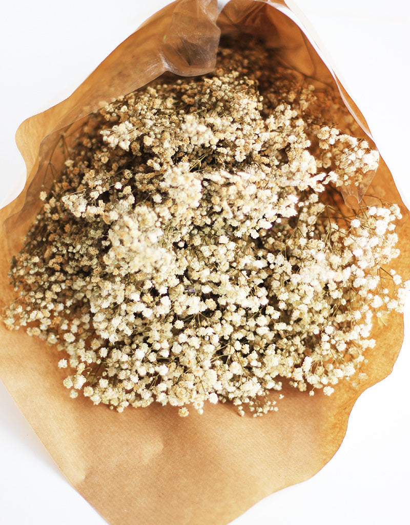 PRESERVED GYPSOPHILA FLOWERS