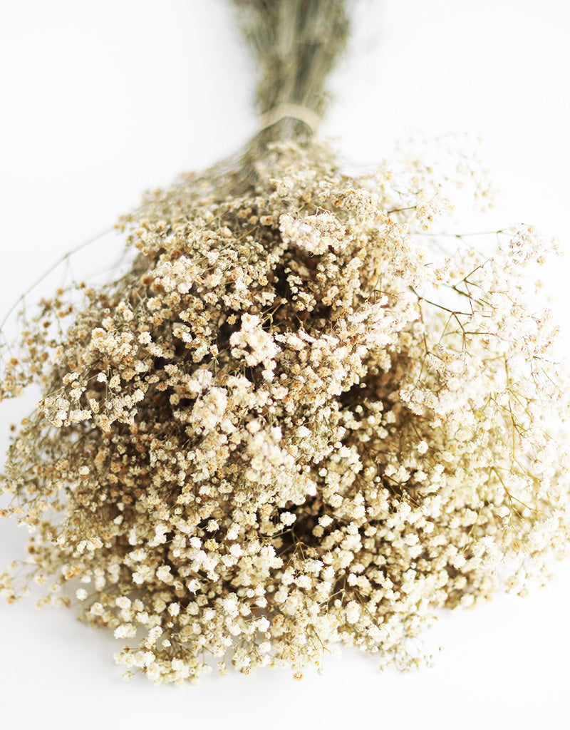 dried gypsophila bouquet