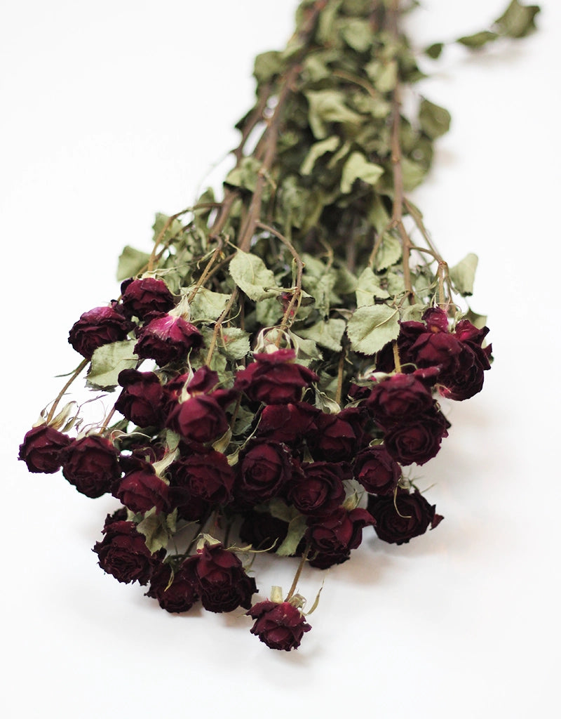 Dried Spray Roses Burgundy Red Flowers Bunch