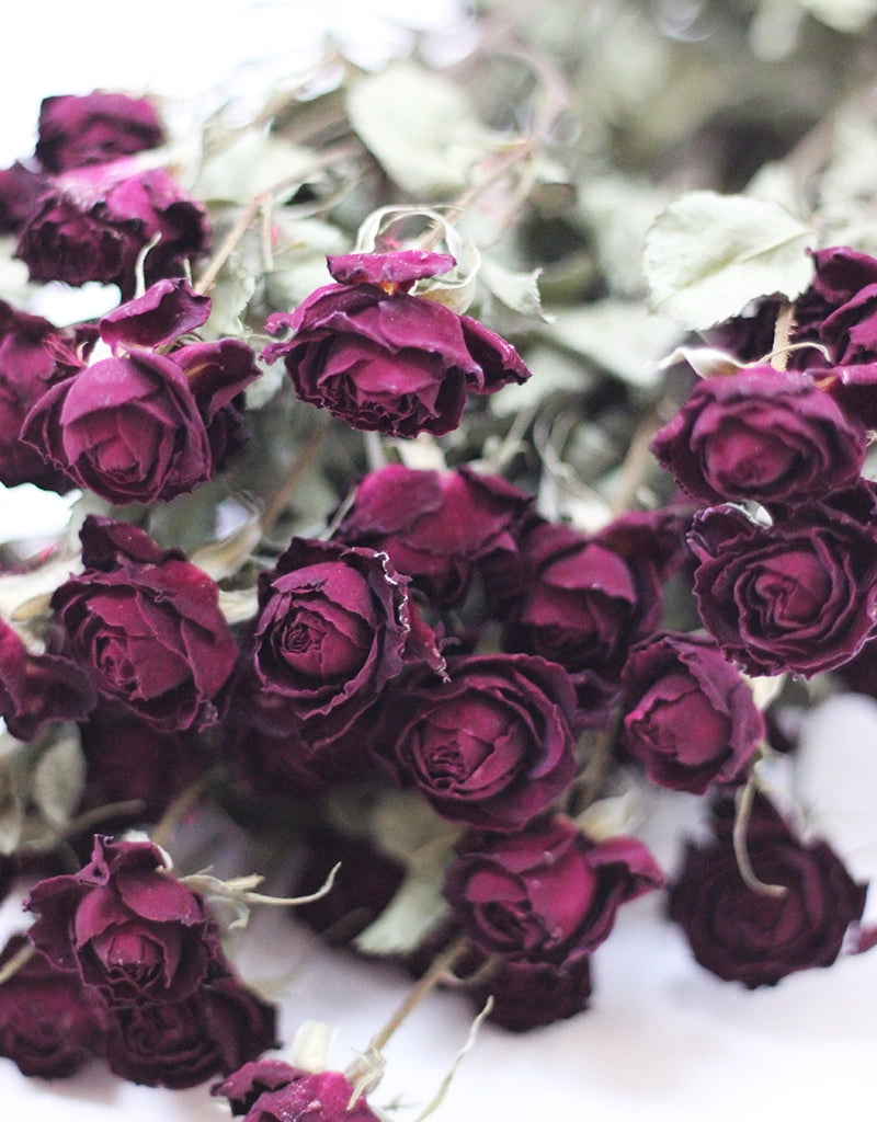 Dried Spray Roses Red Flowers Bunch - 10 stems, 70cm l Red Roses