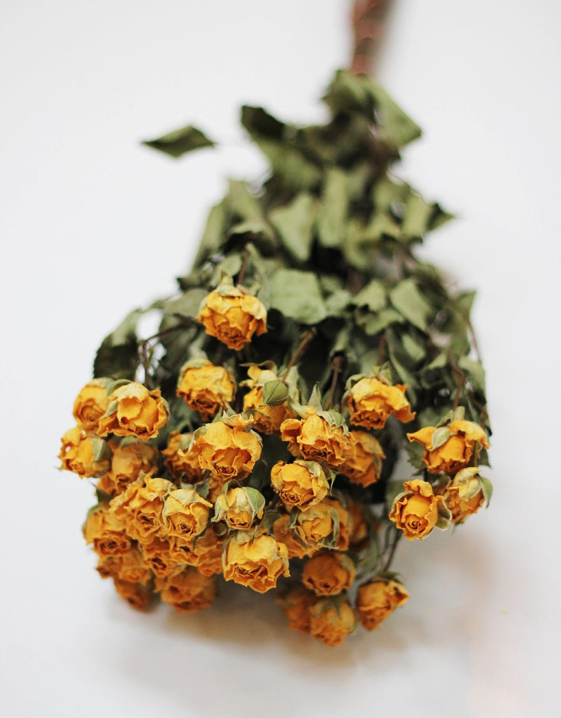 Dried Spray Roses - Yellow Bunch, 50 cm