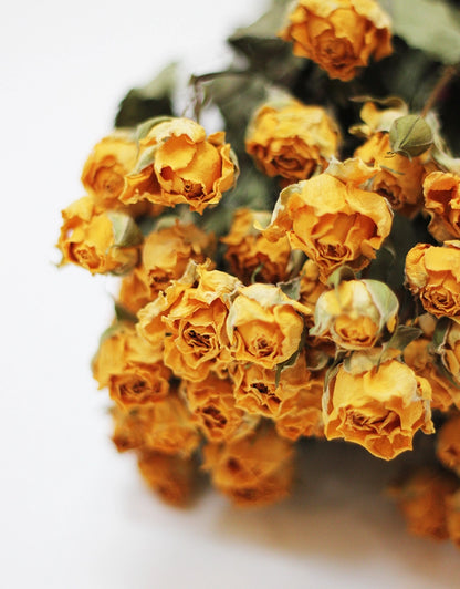 Dried Spray Roses - Yellow Bunch, 50 cm