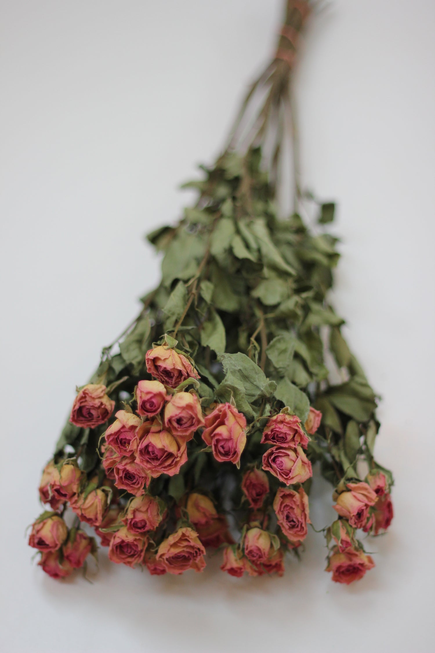 Dried Spray Roses Pink Flowers Bunch - 10 stems, 60cm
