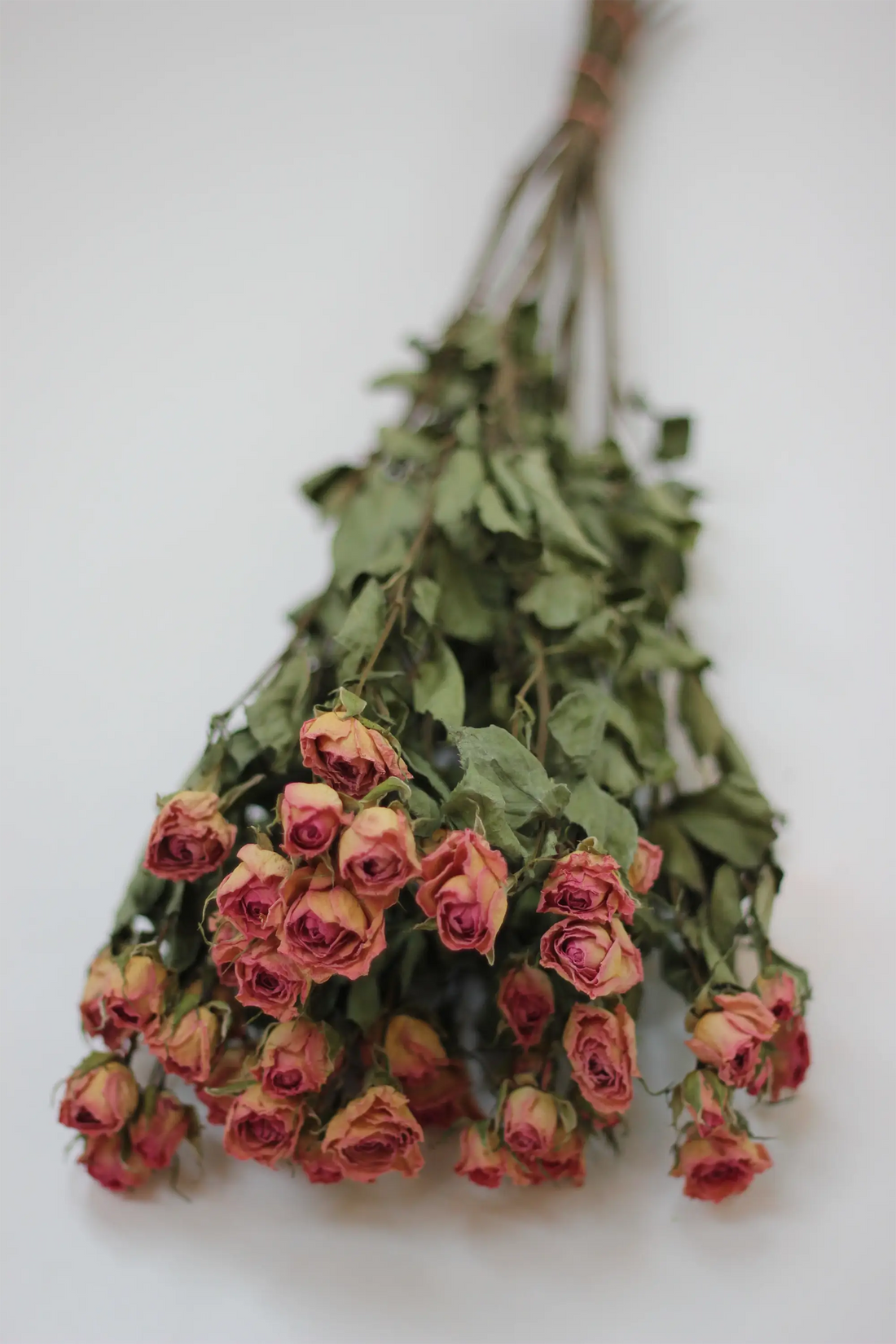 Dried Spray Roses Pink Flowers Bunch - 10 stems, 60cm