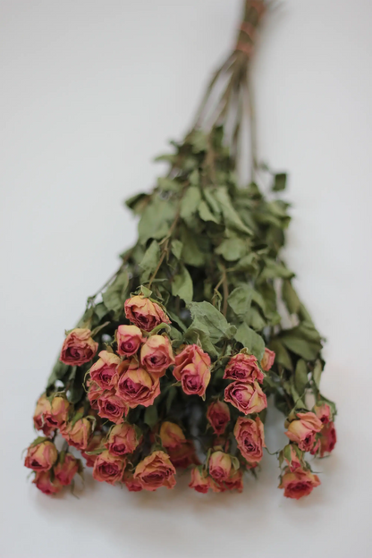 Dried Spray Roses Pink Flowers Bunch - 10 stems, 60cm