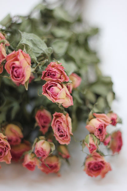 Dried Spray Roses Pink Flowers Bunch - 10 stems, 60cm