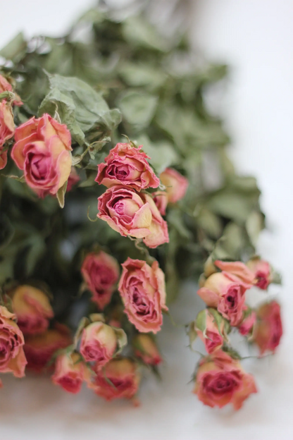 Dried Spray Roses Pink Flowers Bunch - 10 stems, 60cm