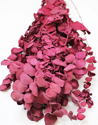 Dried Cinerea bunch - Bordeaux, 70cm