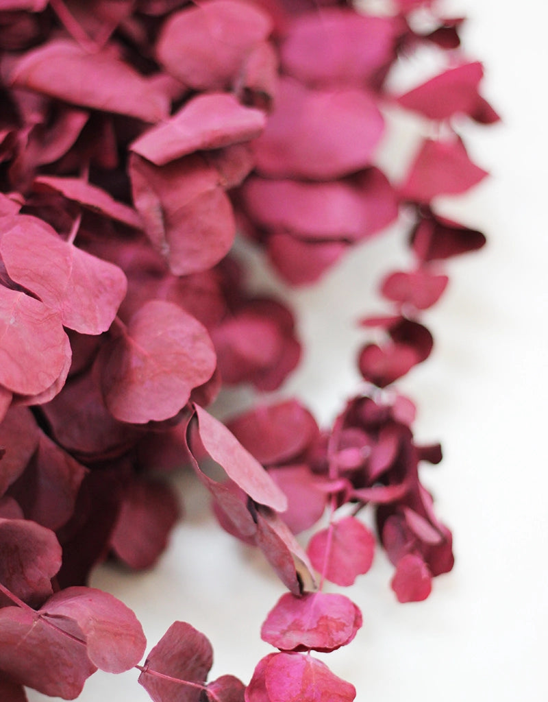 Dried Cinerea bunch - Bordeaux, 70cm